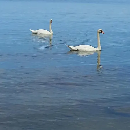 Apartman Malahov Posedarje